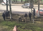 Субботники
